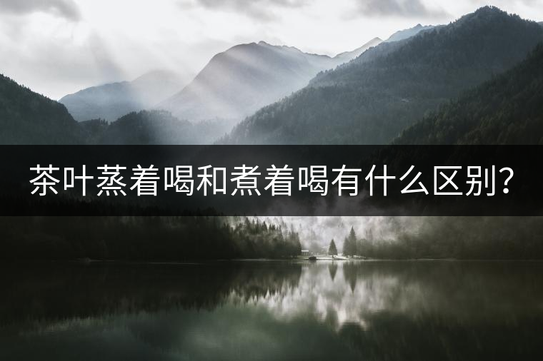 茶葉蒸著喝和煮著喝有什么區(qū)別？