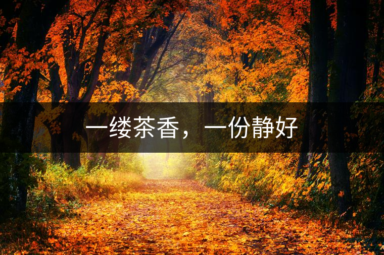 一縷茶香，一份靜好