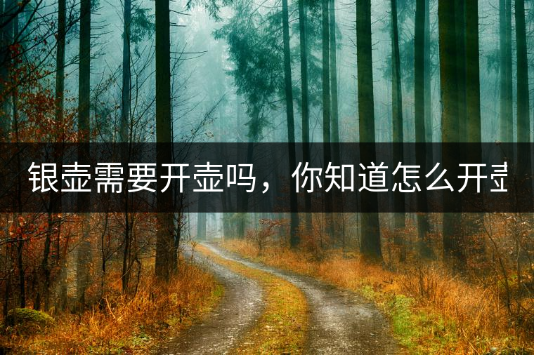 銀壺需要開壺嗎，你知道怎么開壺？