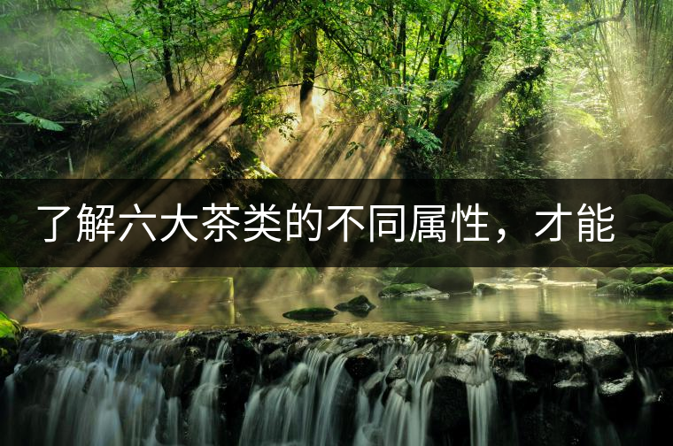 了解六大茶類的不同屬性，才能更好的選擇品飲！