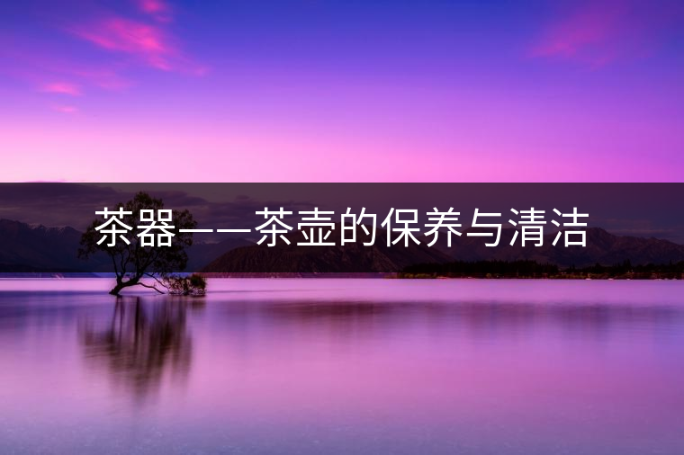 茶器——茶壺的保養(yǎng)與清潔 茶器——茶壺的保養(yǎng)與清潔