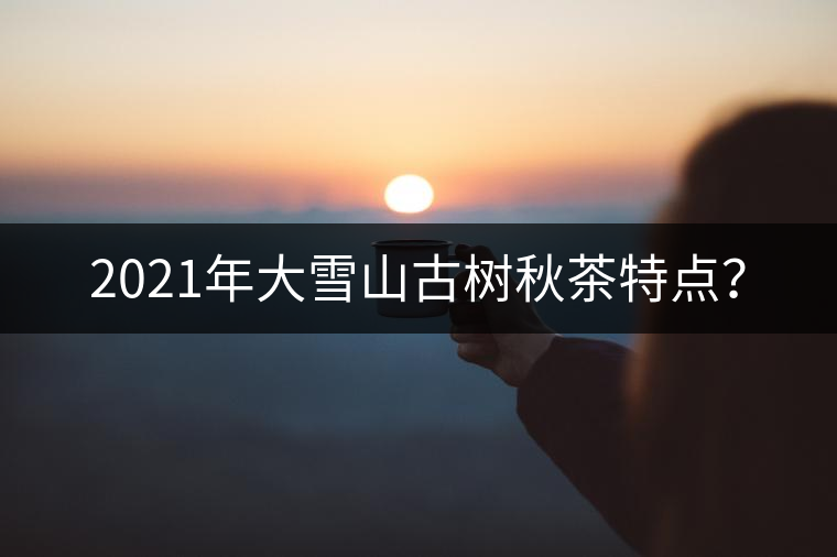 2021年大雪山古樹秋茶特點(diǎn)？
