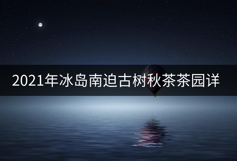 2021年冰島南迫古樹(shù)秋茶茶園詳解！