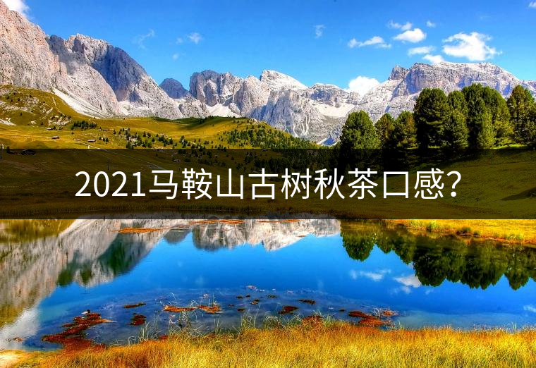 2021馬鞍山古樹秋茶口感？