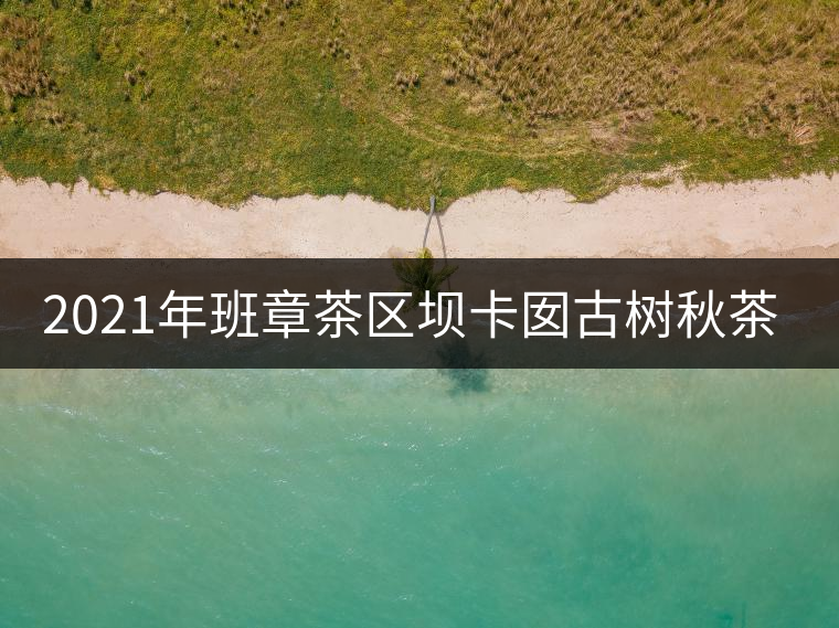 2021年班章茶區(qū)壩卡囡古樹(shù)秋茶多少錢一公斤？