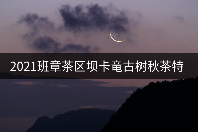 2021班章茶區(qū)壩卡竜古樹秋茶特點！