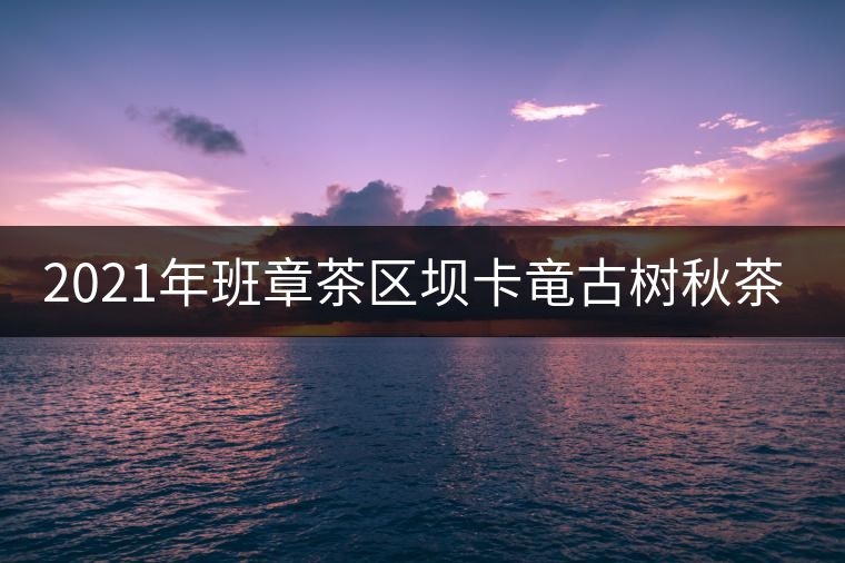 2021年班章茶區(qū)壩卡竜古樹秋茶多少錢一公斤？