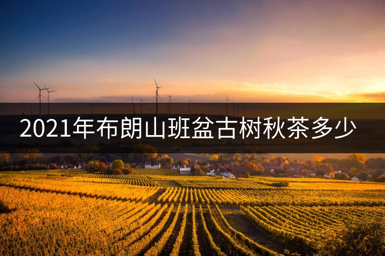 2021年布朗山班盆古樹秋茶多少錢一公斤？