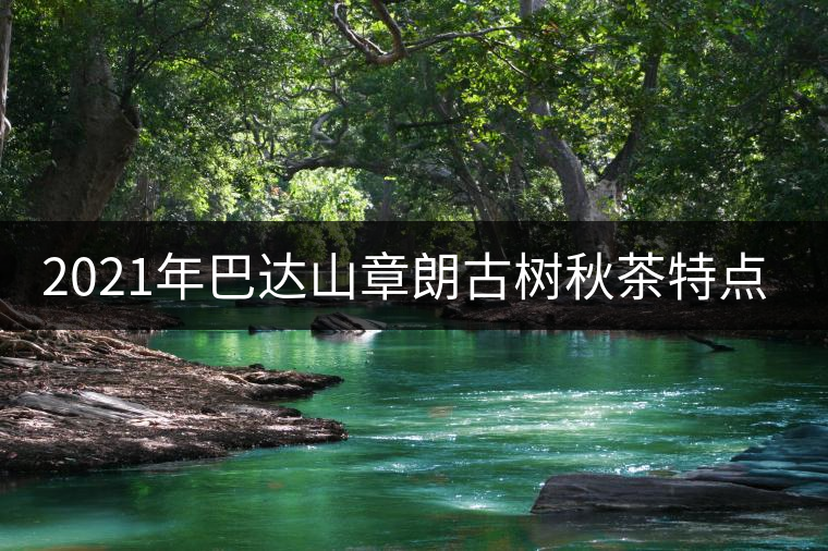 2021年巴達(dá)山章朗古樹秋茶特點(diǎn)？