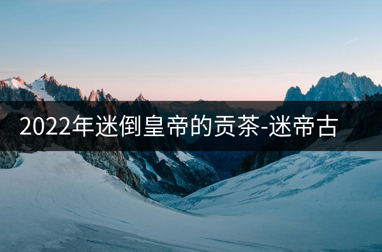 2022年迷倒皇帝的貢茶-迷帝古樹(shù)春茶特點(diǎn)？