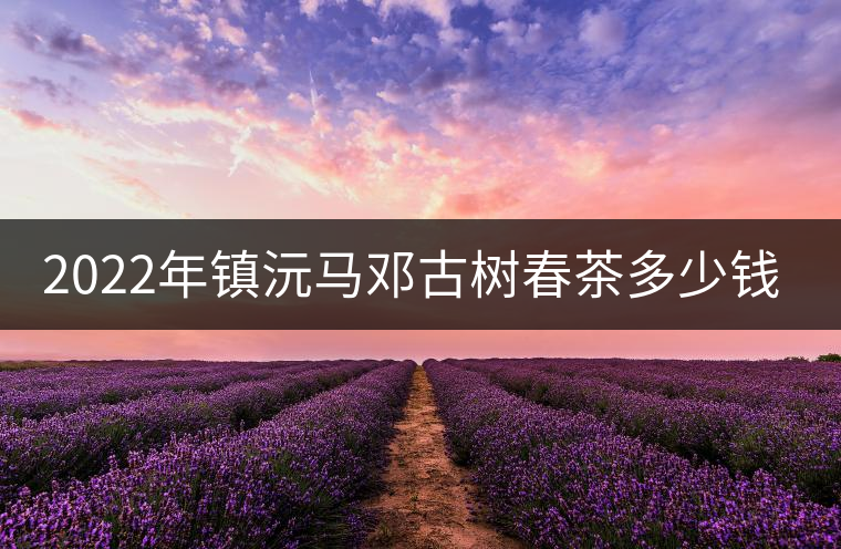 2022年鎮(zhèn)沅馬鄧古樹春茶多少錢一公斤？