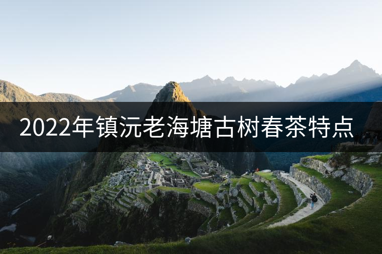 2022年鎮(zhèn)沅老海塘古樹春茶特點？
