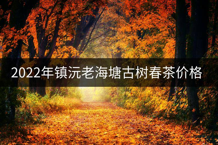 2022年鎮(zhèn)沅老海塘古樹春茶價格？