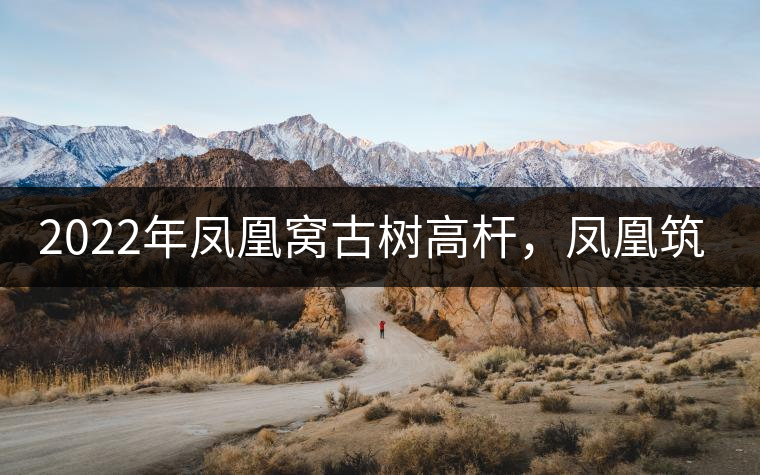 2022年鳳凰窩古樹高桿，鳳凰筑巢的地方