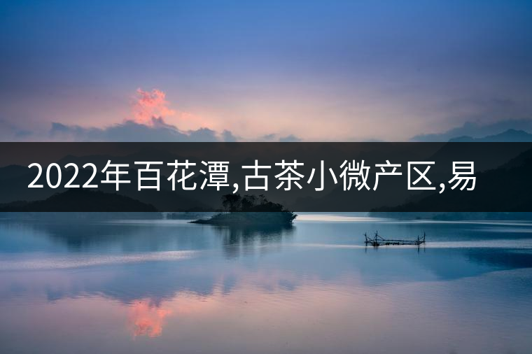 2022年百花潭,古茶小微產(chǎn)區(qū),易武崛起的山寨! 2022年百花潭,古茶小微產(chǎn)區(qū),易武崛起的山寨!