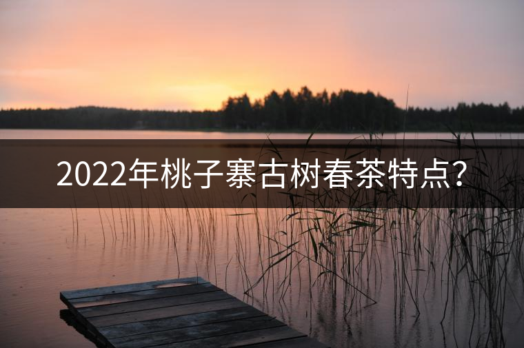 2022年桃子寨古樹春茶特點(diǎn)？