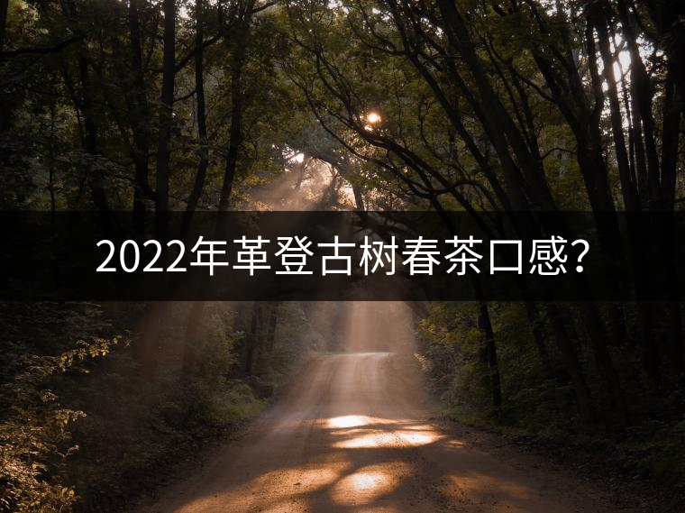 2022年革登古樹春茶口感？