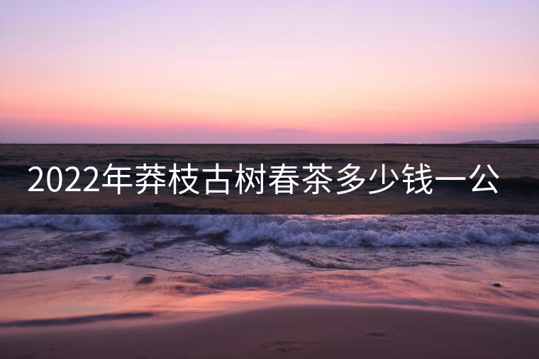 2022年莽枝古樹(shù)春茶多少錢一公斤? 2022年莽枝古樹(shù)春茶多少錢一公斤?