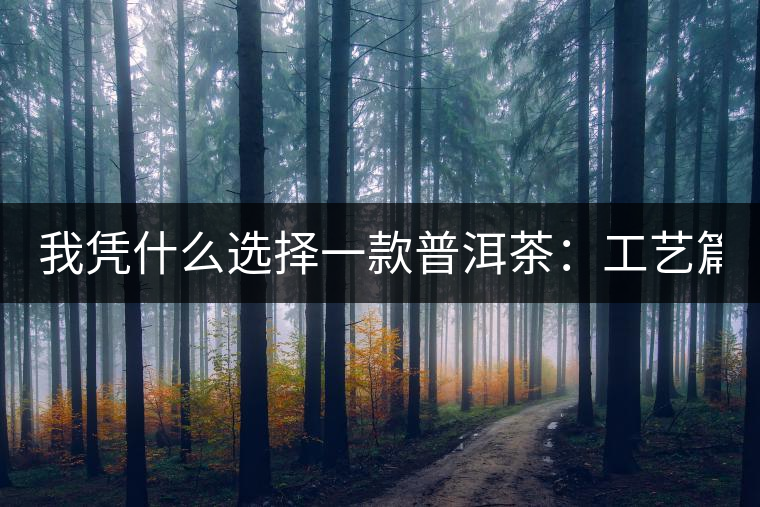 我憑什么選擇一款普洱茶：工藝篇？