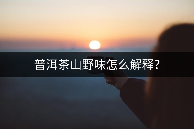 普洱茶山野味怎么解釋？