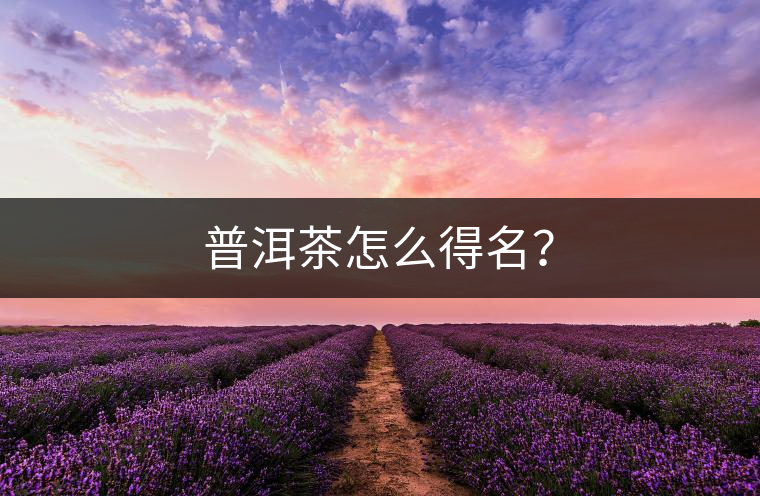 普洱茶怎么得名？