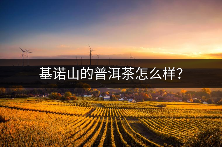 基諾山的普洱茶怎么樣？
