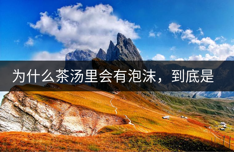 為什么茶湯里會有泡沫，到底是怎么回事？