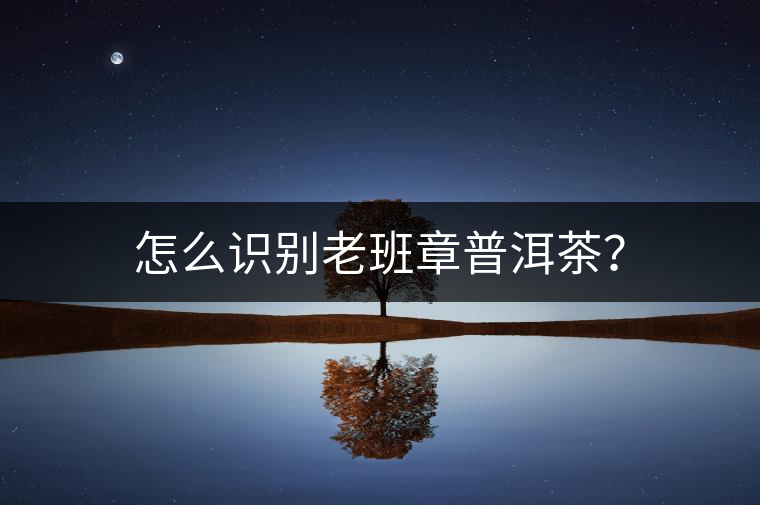 怎么識(shí)別老班章普洱茶？