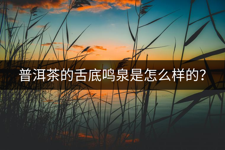普洱茶的舌底鳴泉是怎么樣的？
