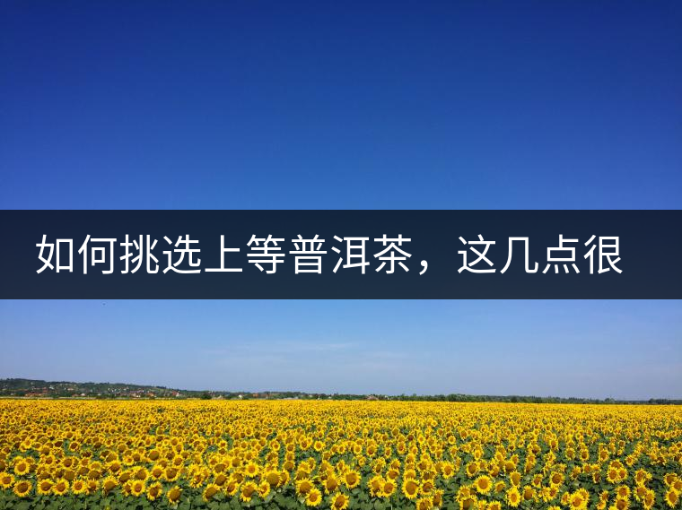如何挑選上等普洱茶，這幾點(diǎn)很關(guān)鍵