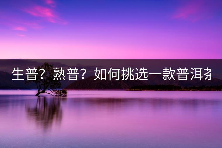 生普？熟普？如何挑選一款普洱茶？