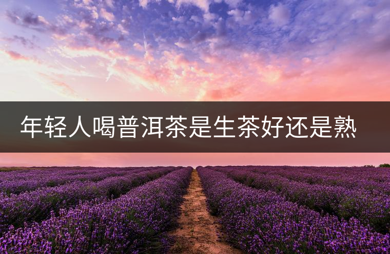 年輕人喝普洱茶是生茶好還是熟茶好？該怎么選擇？