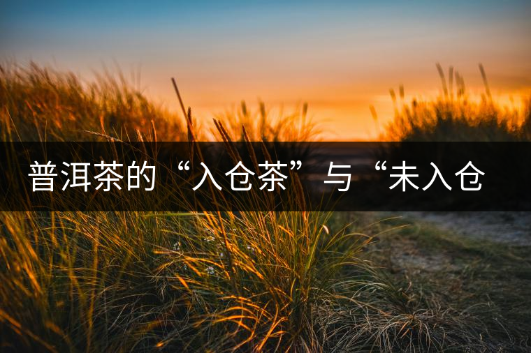 普洱茶的“入倉茶”與“未入倉茶”如何區(qū)分，你造嗎？