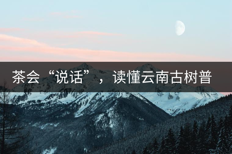 茶會“說話”，讀懂云南古樹普洱茶的秘訣