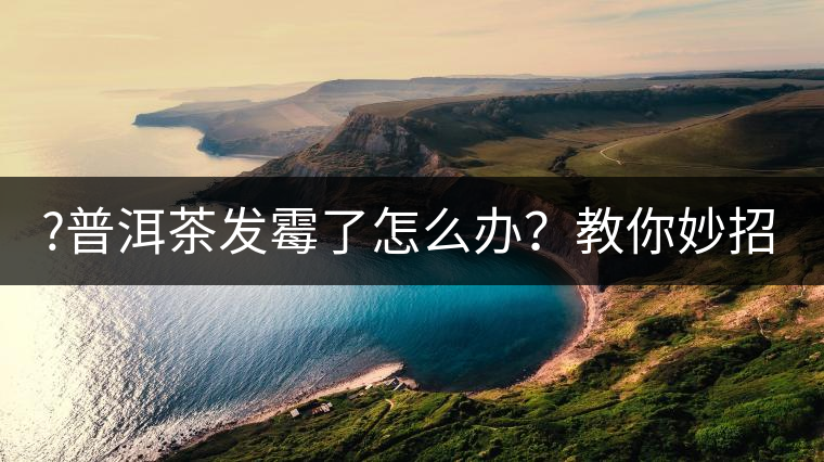 ?普洱茶發(fā)霉了怎么辦？教你妙招應(yīng)對發(fā)霉的普洱茶！