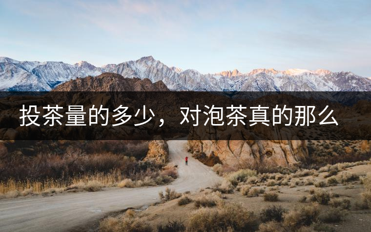 投茶量的多少，對泡茶真的那么重要嗎？