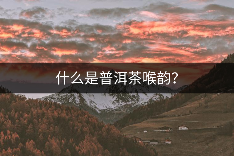 什么是普洱茶喉韻？
