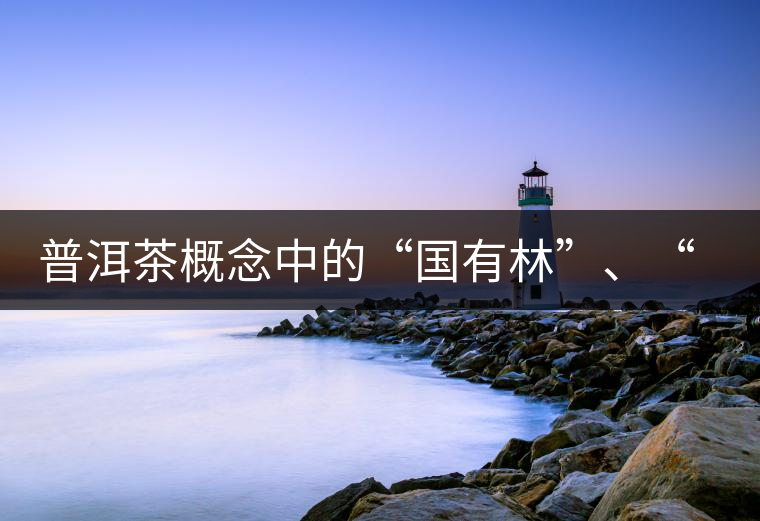 普洱茶概念中的“國有林”、“高桿古樹”是怎么樣的存在？