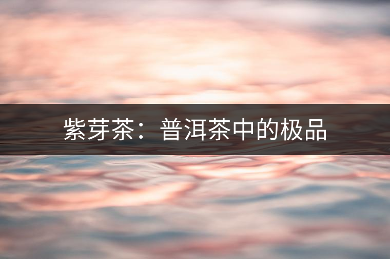 紫芽茶:普洱茶中的極品 紫芽茶:普洱茶中的極品