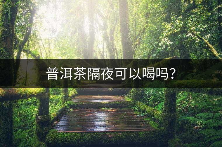 普洱茶隔夜可以喝嗎？