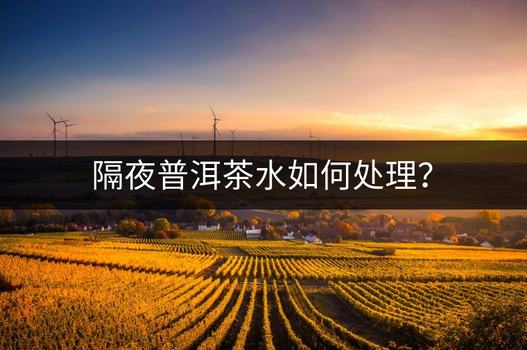 隔夜普洱茶水如何處理？
