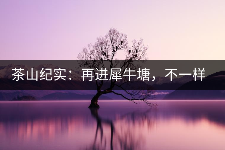 茶山紀(jì)實(shí)：再進(jìn)犀牛塘，不一樣的感覺；菁瑤可以預(yù)見的豐收年