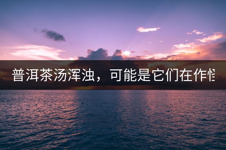 普洱茶湯渾濁，可能是它們在作怪？