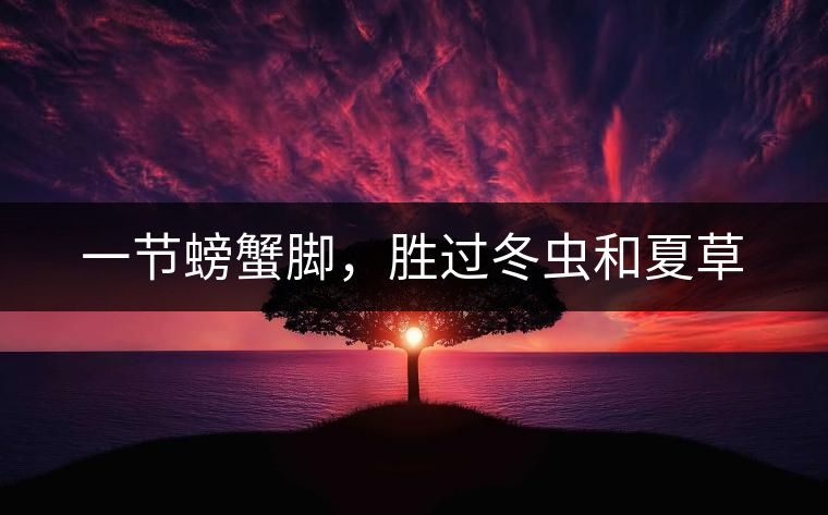 一節(jié)螃蟹腳，勝過冬蟲和夏草