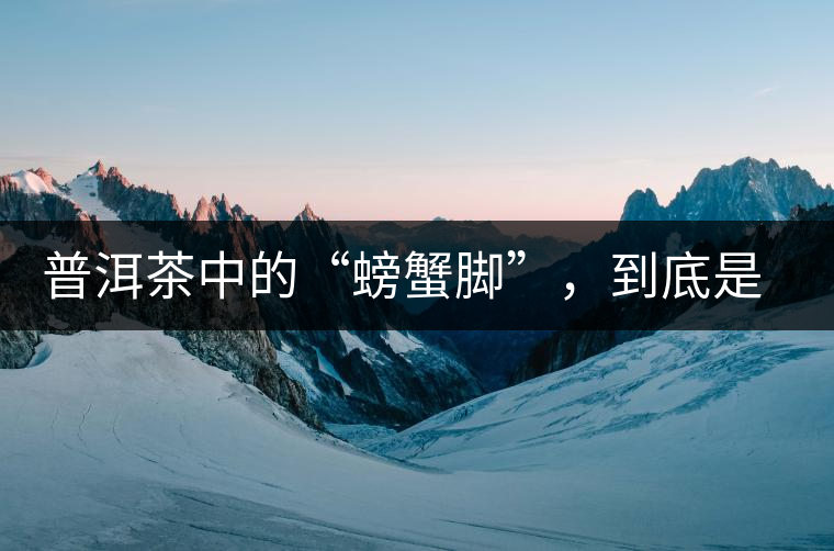 普洱茶中的“螃蟹腳”，到底是什么？如何辨別？