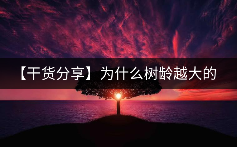 【干貨分享】為什么樹齡越大的普洱生茶，苦味越容易化掉？