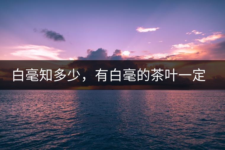 白毫知多少，有白毫的茶葉一定好嗎？