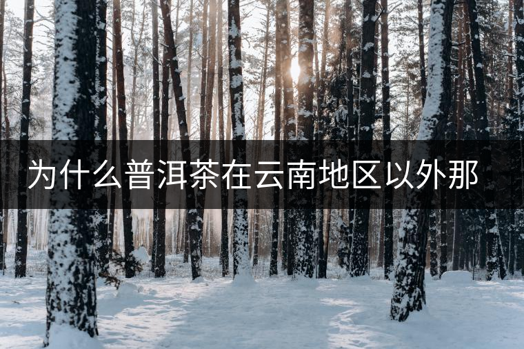 為什么普洱茶在云南地區(qū)以外那么受歡迎？