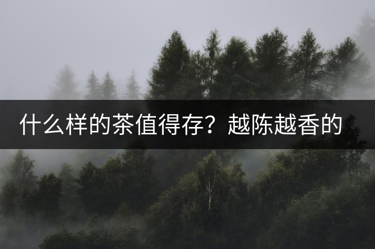 什么樣的茶值得存？越陳越香的本質(zhì)是什么？