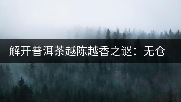 解開普洱茶越陳越香之謎:無(wú)倉(cāng)不成普洱 解開普洱茶越陳越香之謎:無(wú)倉(cāng)不成普洱